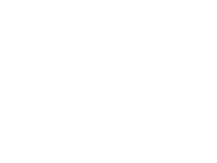 GN Logo Wht